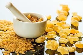 AKGÜNLÜK EKSTRESİ (BOSWELLIA) NE İŞE YARAR?